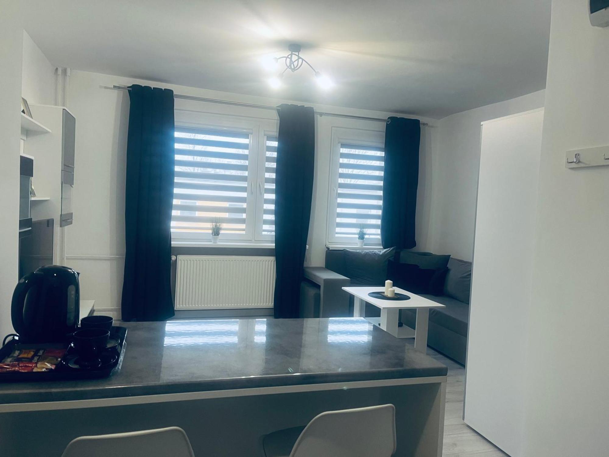 Silver Apartament Катовіце Екстер'єр фото