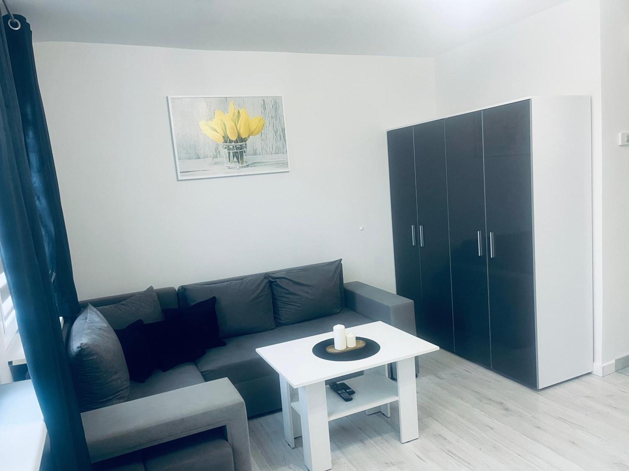 Silver Apartament Катовіце Екстер'єр фото