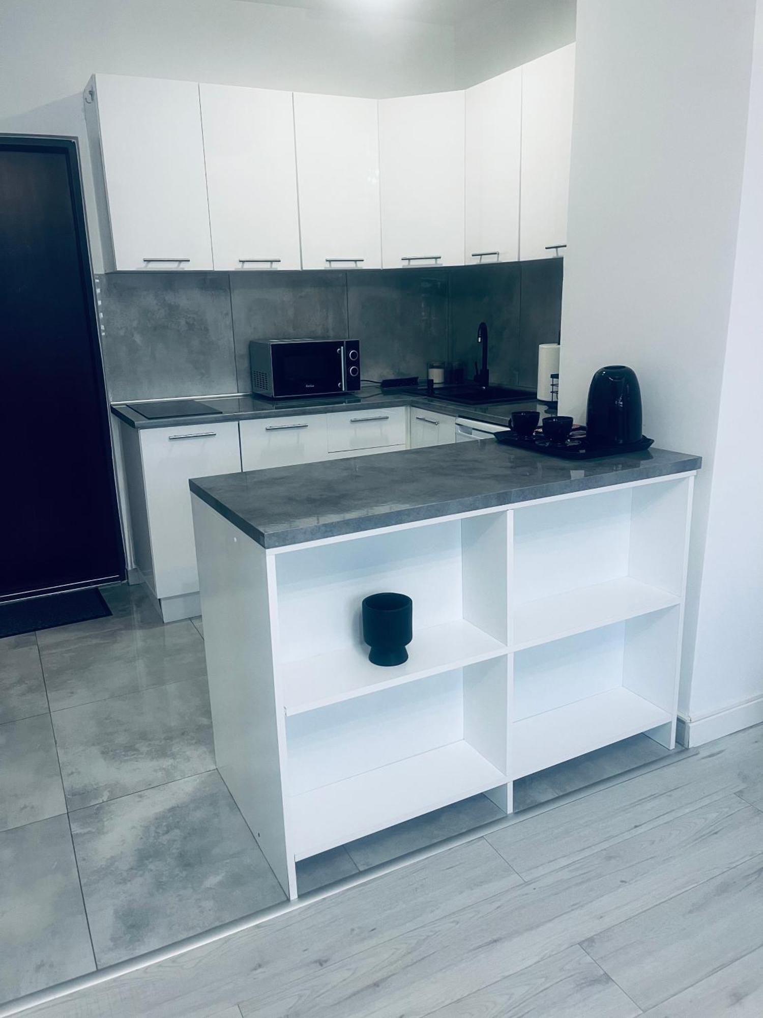 Silver Apartament Катовіце Екстер'єр фото